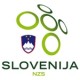 Slovenien EM 2024